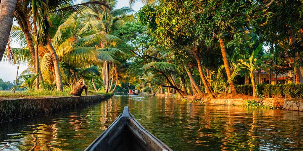 Kerala Tour Package 3 Night 4 Days travel photo