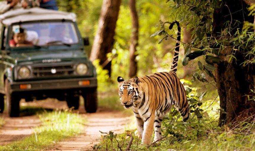 Explore Nepal with Wildlife Package