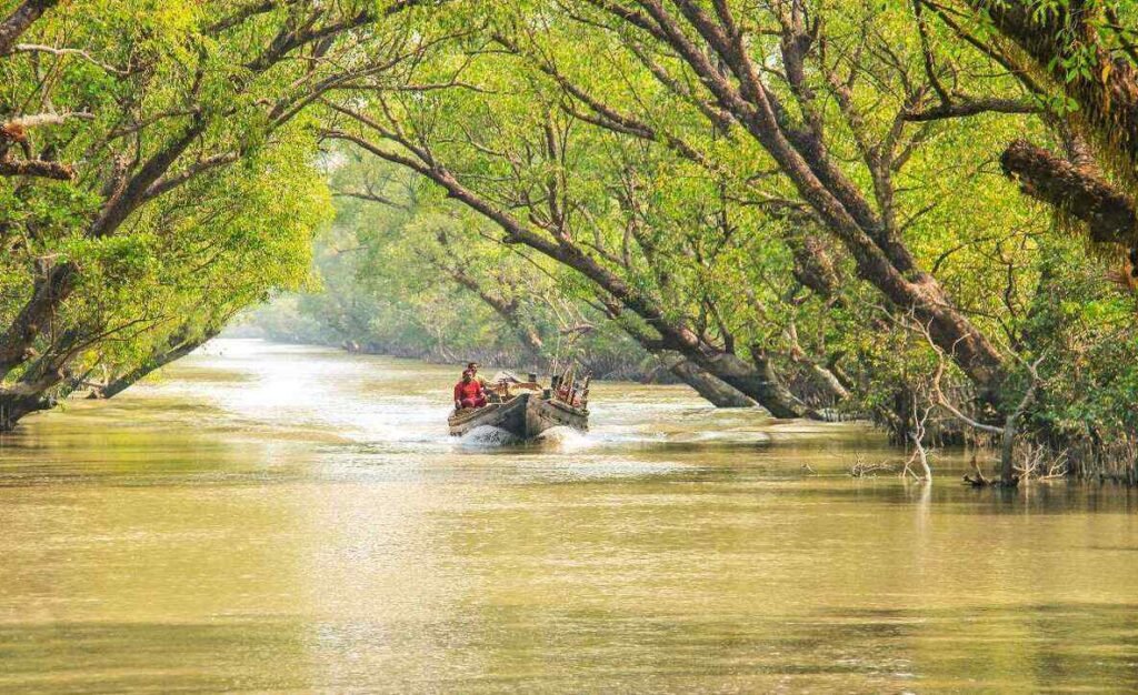 sundarban trip