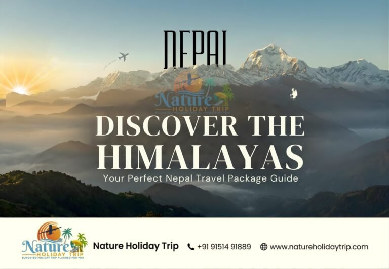 Explore the Himalayas: Your Guide to Choosing the Right Nepal Travel Package 